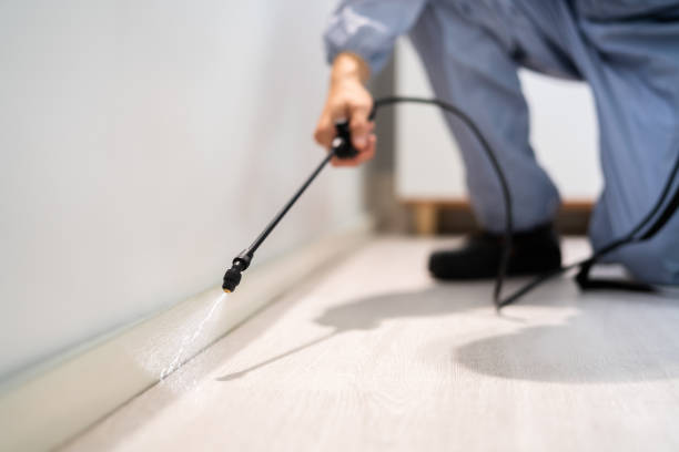 Certified termite inspector examining foundation in Big Lake